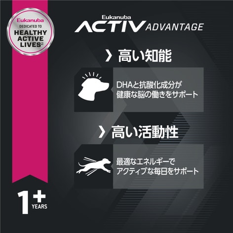 image 70102475-bd49-44bd-a7bc-2df9e2c19818