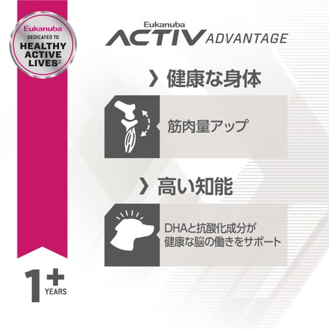 image d4c4782c-c489-442b-8659-4fe658b75a46