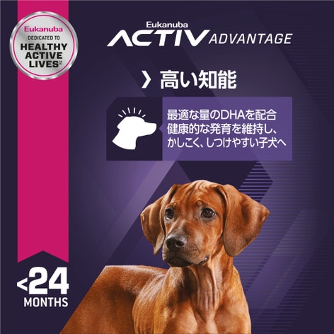 ラージ パピー | Eukanuba JP