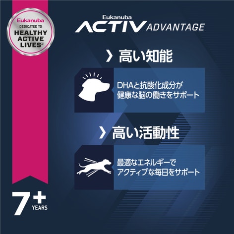 image fb4b65ea-70b3-4d4a-9a46-b18cdbcfa2f7