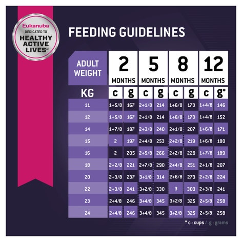 image 6%20Eukanuba%E2%84%A2%20Puppy%20Medium%20Breed%20Dry%20Dog%20Food