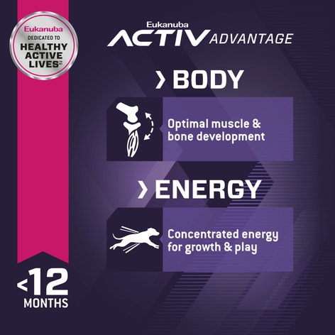 Eukanuba™ Puppy Small Breed Dry Dog Food image 1