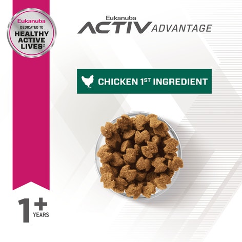 Eukanuba™ Adult Fit body Medium Breed Dry Dog Food image 1