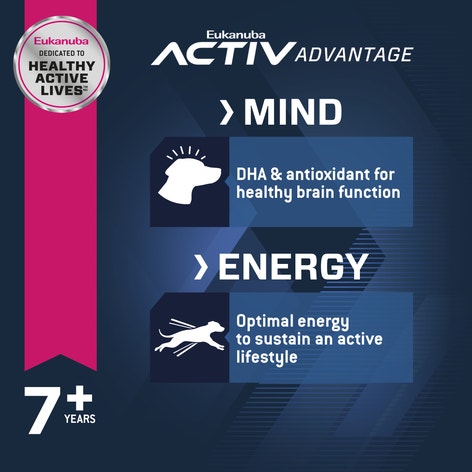 EUKANUBA™ SENIOR MEDIUM BREED DRY DOG FOOD image 1