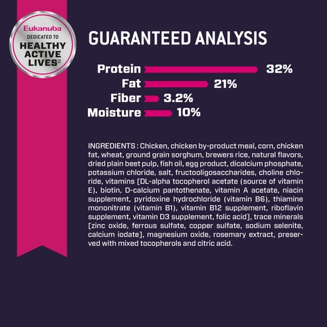 Eukanuba™ Puppy Small Breed Dry Dog Food image 1