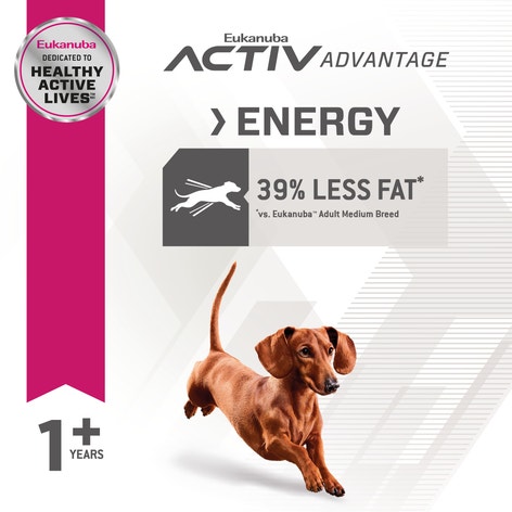 Eukanuba™ Adult Fit body Small Breed Dry Dog Food image 1