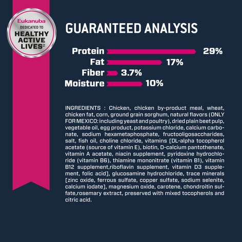 Senior Small Breed Dry Dog Food image 1