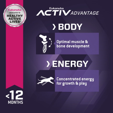 Puppy - Lamb 1st Ingredient Dry Dog Food image 1