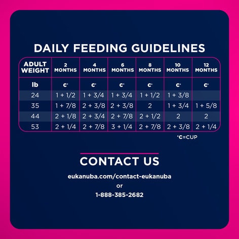 Puppy Medium Breed Dry Dog Food image 1
