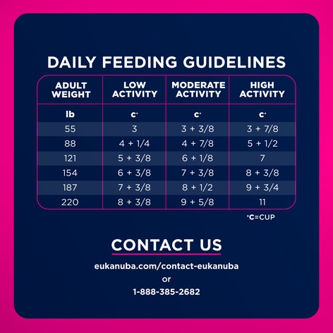Adult Large Breed Dog Food Dry image 1