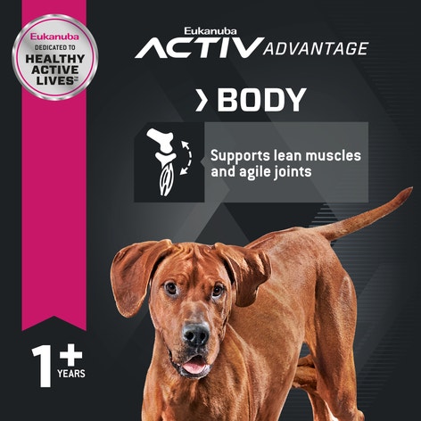 Adult Large Breed Dog Food Dry image 1