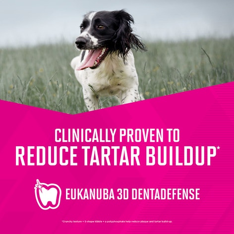 Eukanuba™ Premium Performance 30/28 Work Dry Dog Food, 40 lb image 1