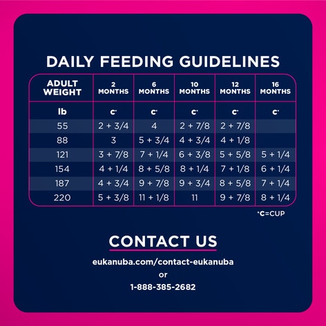 Puppy Large Breed Dry Dog Food image 1