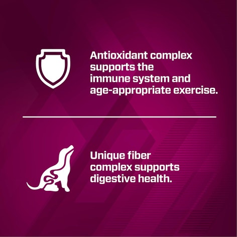 Premium Performance Puppy Pro Dry Dog Food image 1