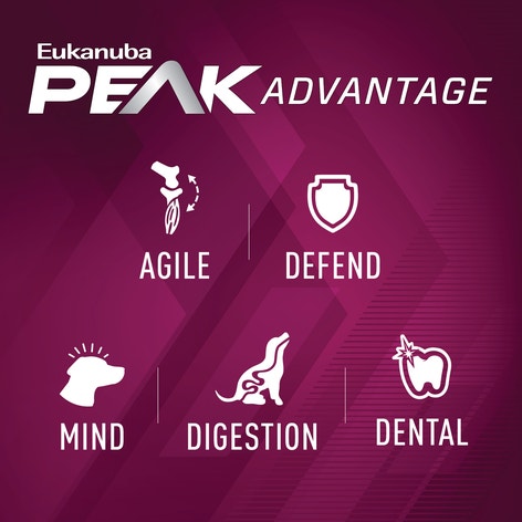 Premium Performance 21/13 Sprint Dry Dog Food image 1