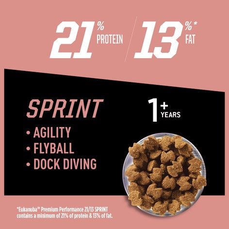 Premium Performance 21/13 Sprint Dry Dog Food image 1