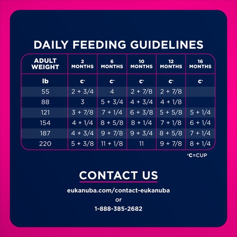 Puppy Large Breed Dry Dog Food image 1