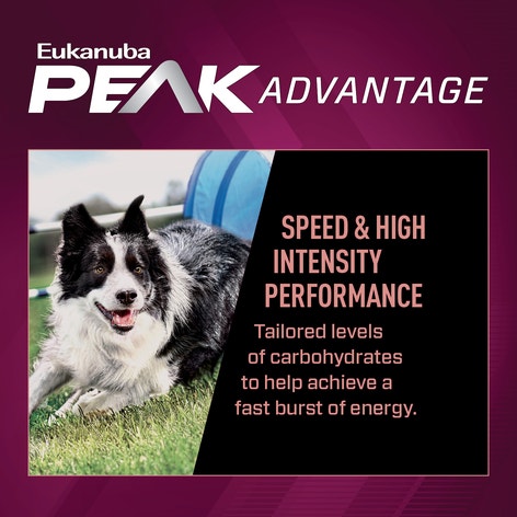 Premium Performance 21/13 Sprint Dry Dog Food image 1
