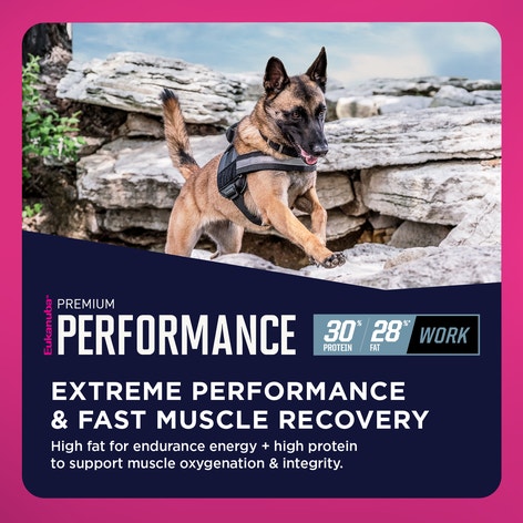 Eukanuba™ Premium Performance 30/28 Work Dry Dog Food, 40 lb image 1