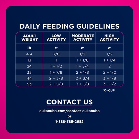 Adult Small Bites Dry Dog Food image 1