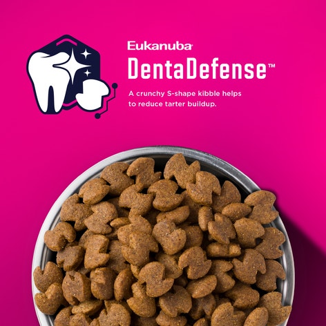 Premium Performance Exercise 26/16 Adult Dry Dog Food image 1