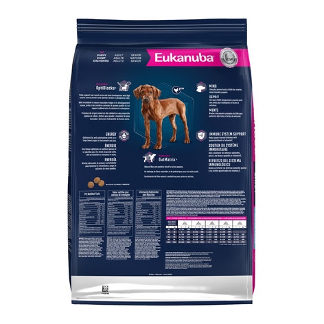 Puppy Large Breed Dry Dog Food image 1