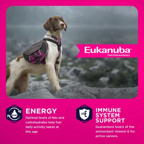 Senior Medium Breed Dry Dog Food image 1