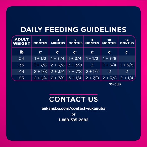 Puppy Medium Breed Dry Dog Food image 1