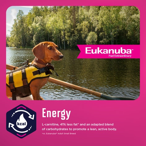 EUKANUBA WM Weight Management Small Breed Dry image 1