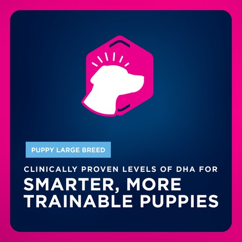 Puppy Large Breed Dry Dog Food image 1