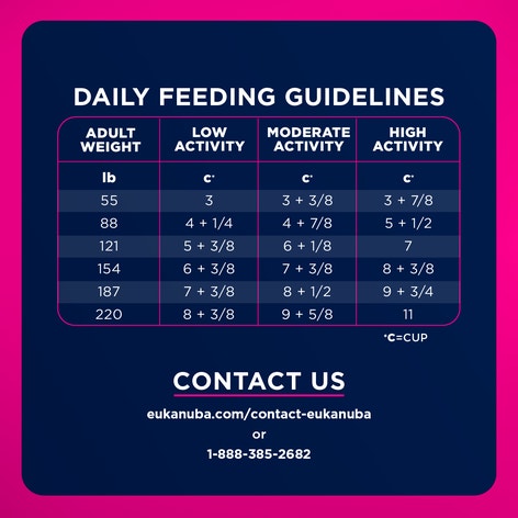 Adult Large Breed Dog Food Dry image 1