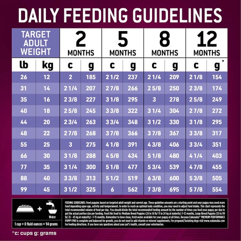 Premium Performance Puppy Pro Dry Dog Food image 1