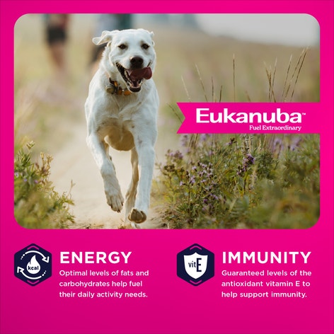 Adult Large Breed Dog Food Dry image 1
