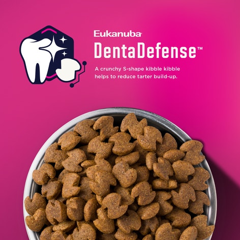 Eukanuba™ Premium Performance 30/28 Work Dry Dog Food, 40 lb image 1