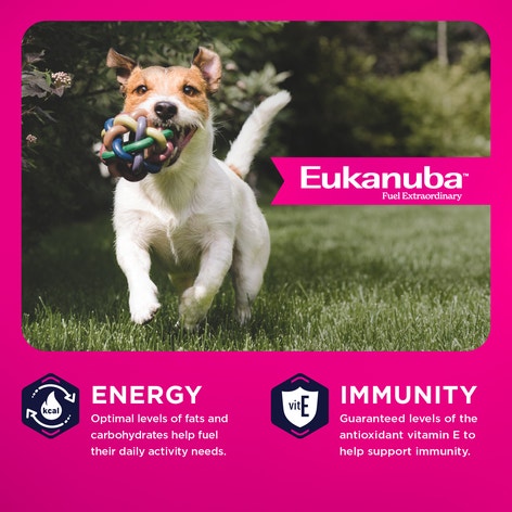Adult Small Bites Dry Dog Food image 1