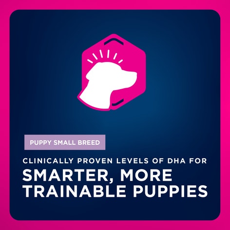 Puppy Small Breed Dry Dog Food image 1