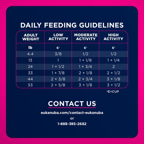Adult Small Bites Dry Dog Food image 1