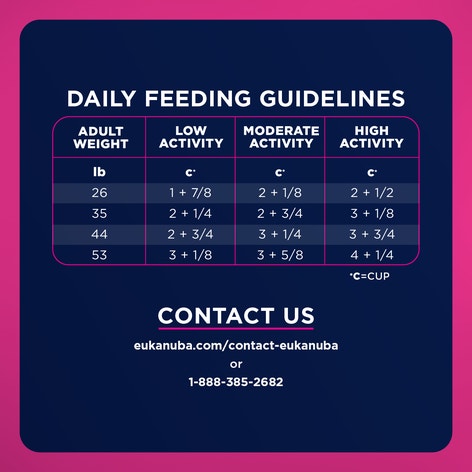 EUKANUBA WM Weight Management Medium Breed image 1
