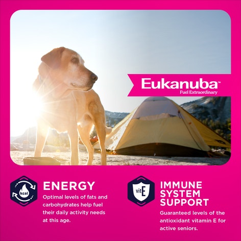 Eukanuba™ Senior Large Breed Dry Dog Food, 33 lb image 1
