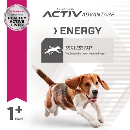 image eukanuba-hero-image-fitbody-mediumbreed-chicken-cv2-rsa