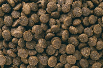 image eukanuba-puppy-small-breed-kibbles