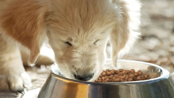 Content Block With Text And Image 6