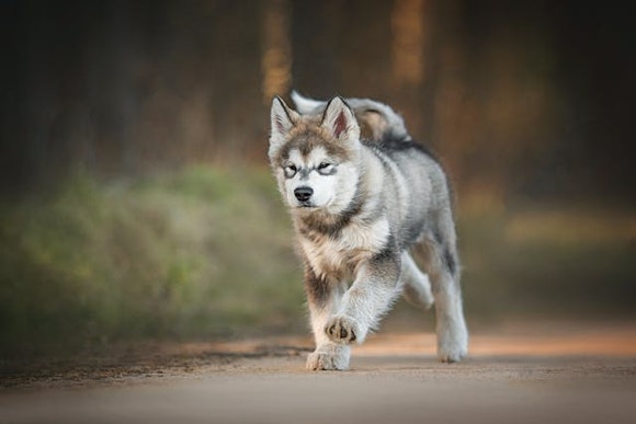 Content Block With Text And Image 3