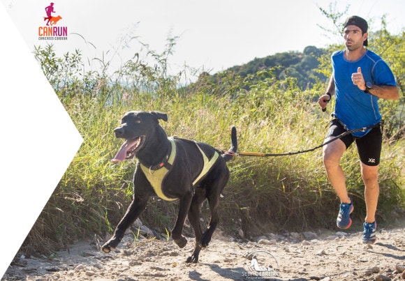 diego sanchez canrun