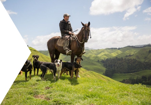 Jed McAlley with his dogs