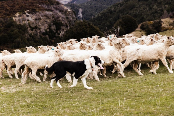 Content Block With Text And Image 1