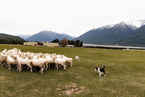 Content Block With Text And Image 3