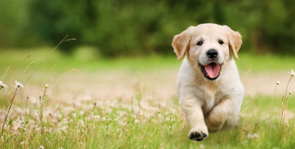 Content Block With Text And Image 5