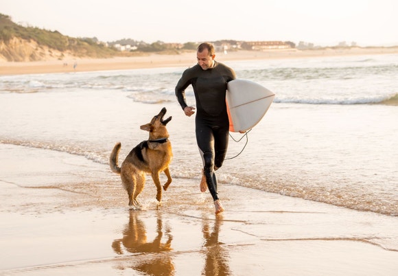 Surfer jogging alongside German Shepherd at the beach