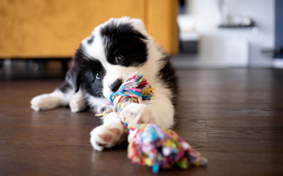 Content Block With Text And Image 4